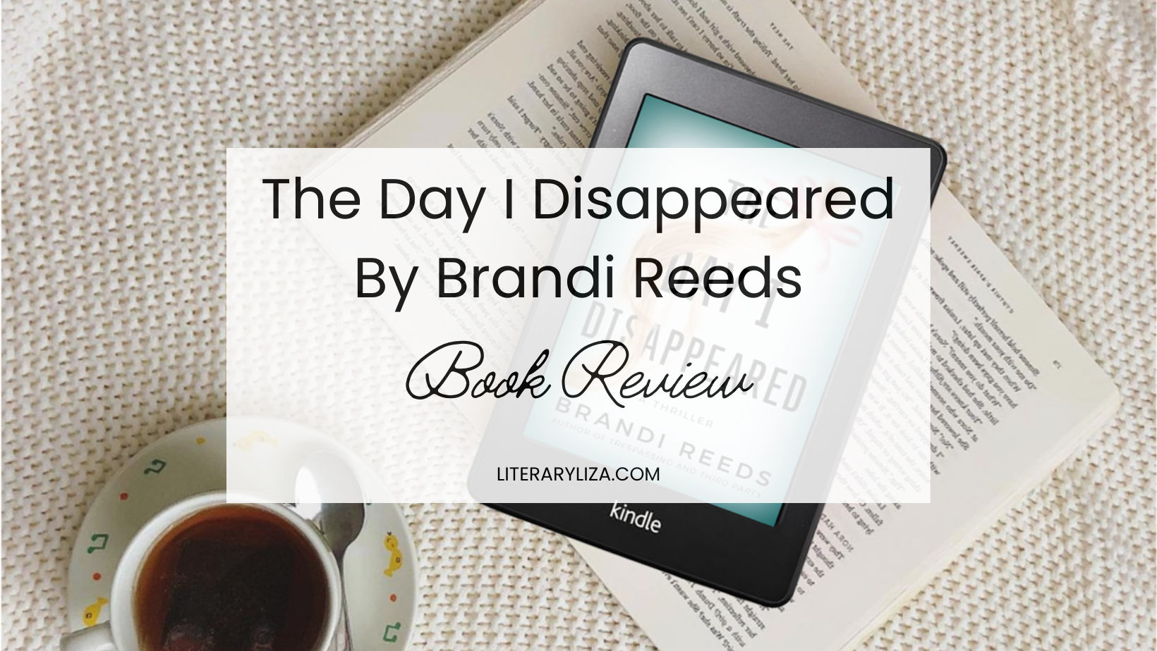 The Day I Disappeared by Brandi Reeds ARC Book Review Literary Liza